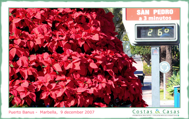 Christmas time in Puerto Banus - Marbella