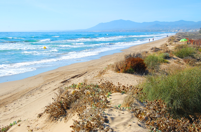 beach bahia marbella