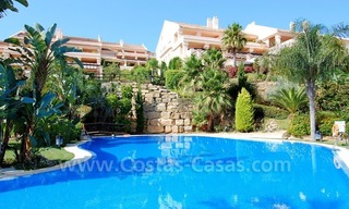 Large luxury apartment for sale in Nueva Andalucia – Marbella 1