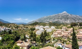 Luxury penthouse apartment for sale in Nueva Andalucia – Marbella 3