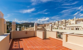 For Sale in Marbella - Nueva Andalucía: Penthouses and Apartments 3