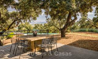 Vineyard – country estate with a modern style villa for sale near Ronda in Andalusia 29158 