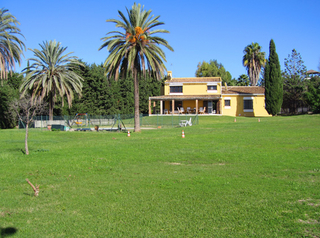 Villa, finca for sale, Estepona - Costa del Sol