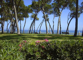 Beachfront penthouse for sale - Golden Mile - Marbella