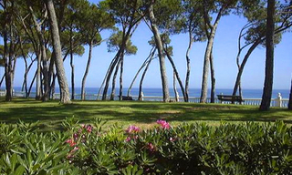Beachfront penthouse for sale - Golden Mile - Marbella 0