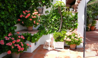 Villa property for sale at walking distance of the village Mijas Pueblo, Costa del Sol 10