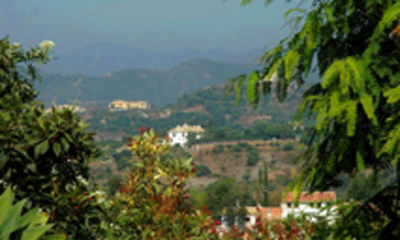 Villa with 2 guesthouses for sale - Marbella - Benahavis 9