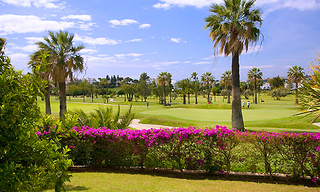 Frontline golf villa for sale, Nueva Andalucia, Marbella 1