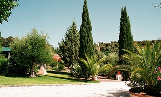 Villa / Country estate for sale close to Ronda at the Costa del Sol, Andalucia, Spain 1