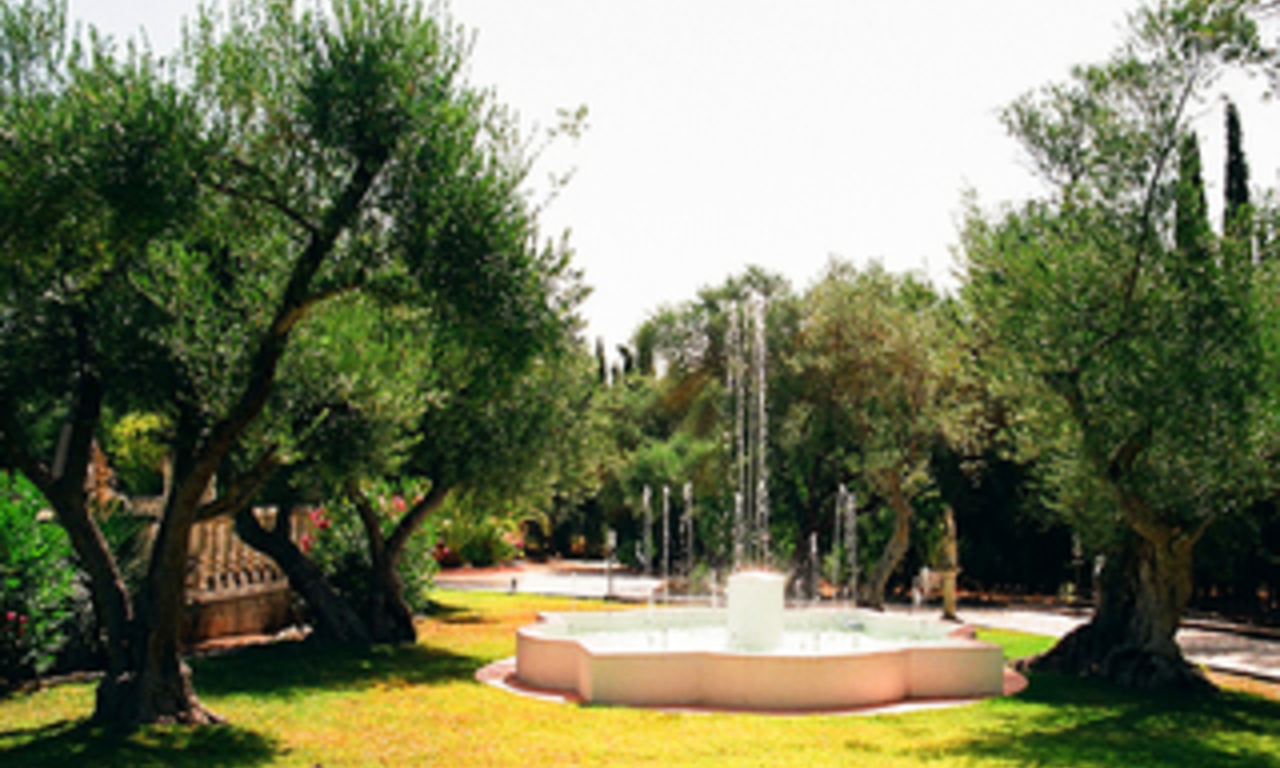Villa / Country estate for sale close to Ronda at the Costa del Sol, Andalucia, Spain 3