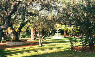 Villa / Country estate for sale close to Ronda at the Costa del Sol, Andalucia, Spain 6