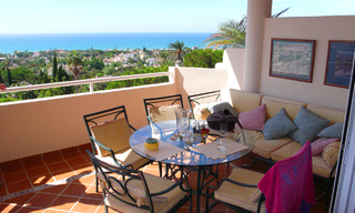 Beachside apartment for sale, Marbella East 3