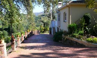 Villa with sea views for sale in El Madronal in Benahavis - Marbella 8