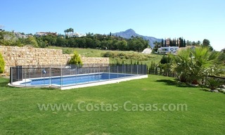 Luxury villa to buy in Nueva Andalucia - Marbella 2