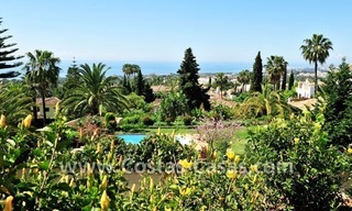 Bargain luxury villa for sale in Sierra Blanca, Marbella 13