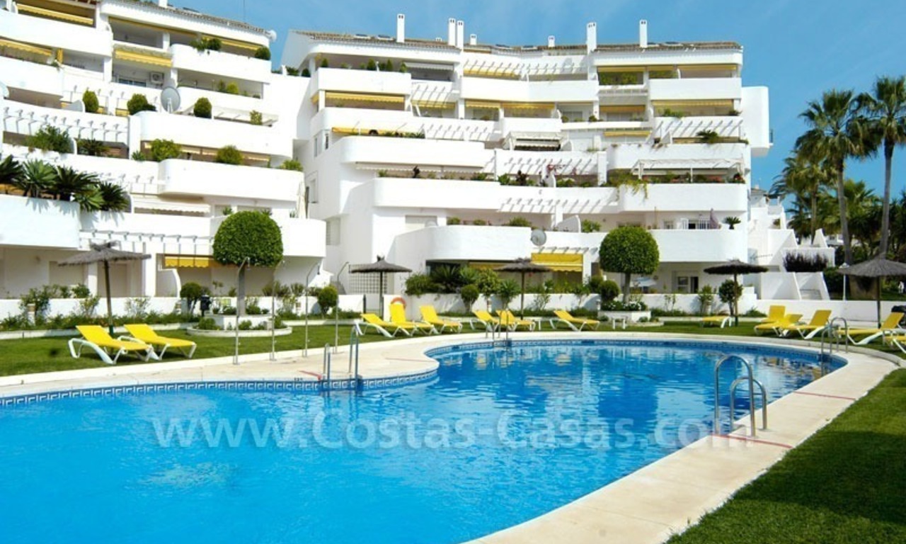 Bargain penthouse apartment for sale in Nueva Andalucía, Marbella 6