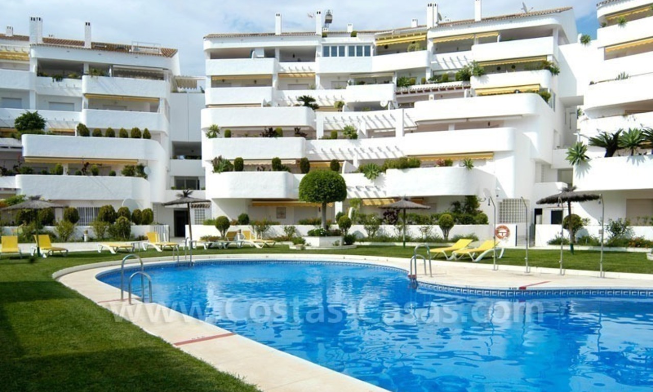 Bargain penthouse apartment for sale in Nueva Andalucía, Marbella 7