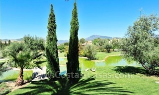 Unique Palladian style mansion for sale in Marbella 26