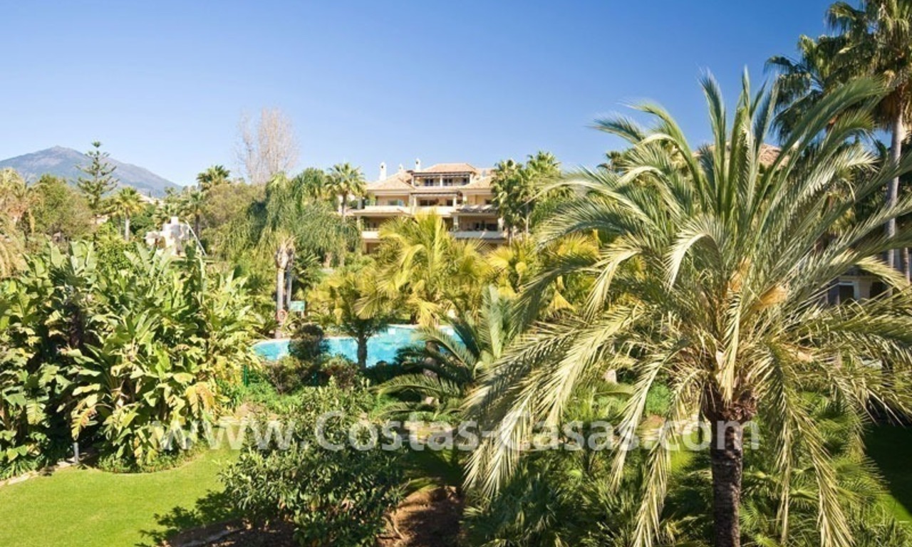 Exclusive penthouse apartment for sale in Nueva Andalucia - Marbella 4
