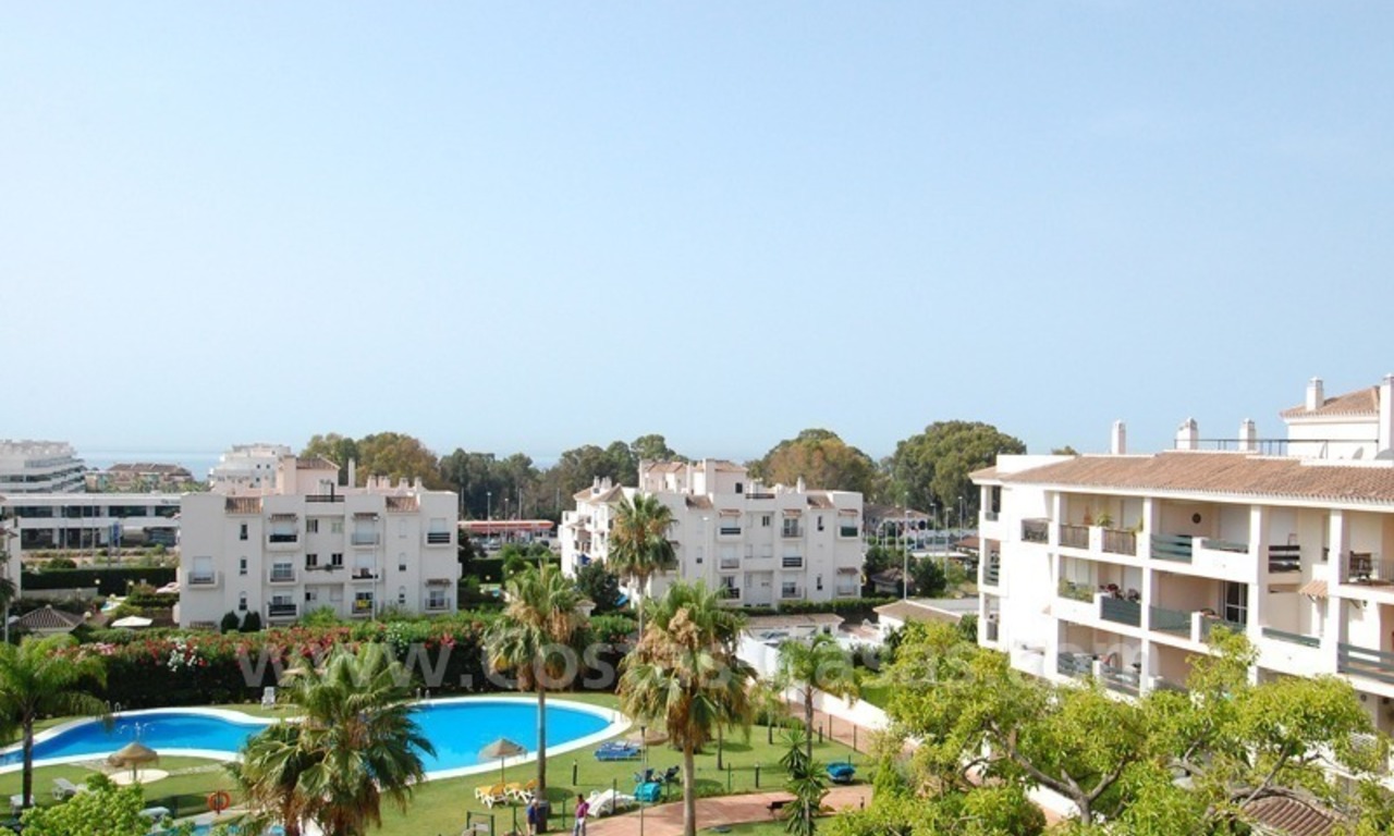 Bargain penthouse apartment for sale in Nueva Andalucia – Marbella 1