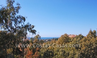 Cozy villa to buy in East of Marbella 3