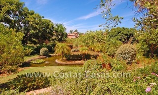Beachside luxury penthouse apartment to buy in Marbella 29