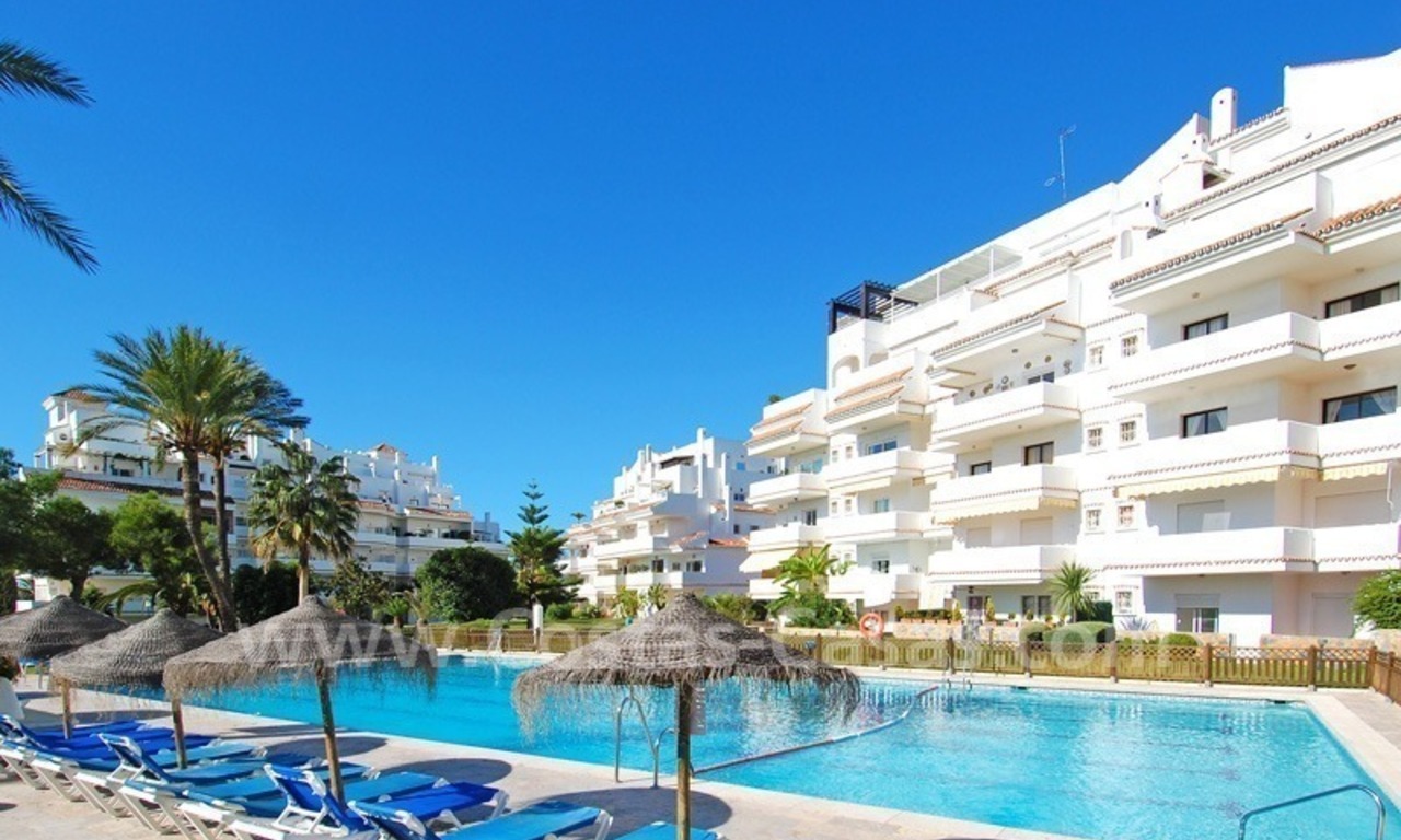 Ample ground floor apartment for sale in Nueva Andalucia – Marbella 0
