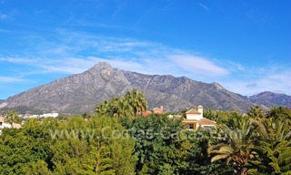 Classical Andalusian villa for sale on the Golden Mile in Marbella 10