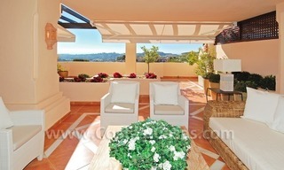 Large luxury elevated ground-floor apartment for sale in Nueva Andalucía – Marbella 1