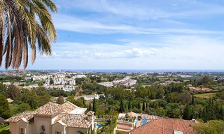 Villa for sale in an up-market area of Nueva Andalucia – Marbella 9