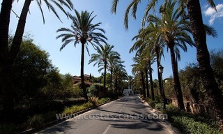 For Sale on Marbella’s Golden Mile: Luxury Villa 32