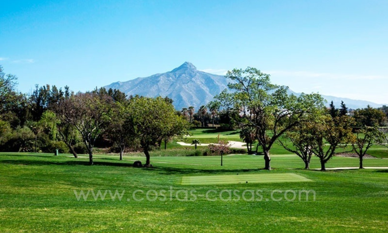 For Sale: Large Contemporary Front Line Golf Villa in Nueva Andalucía - Marbella 4