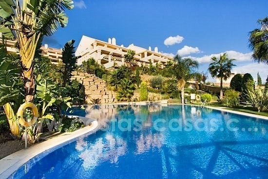 Luxury penthouse apartment for sale in Nueva Andalucia – Marbella