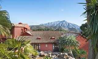 Classical country style villa for sale in El Madroñal, Benahavis - Marbella 20