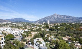 Spacious apartment for sale in a great location in Nueva Andalucia in Marbella, close to Puerto Banus 3