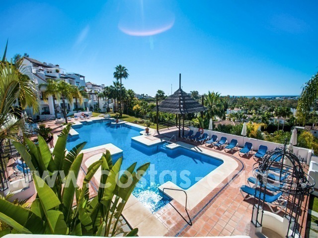 Fabulous 3 Bed Penthouse in Nueva Andalucia, Marbella