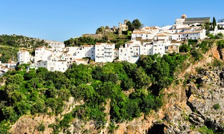 Newly renovated frontline beach apartments for sale, ready to move in, Casares, Costa del Sol 5306 