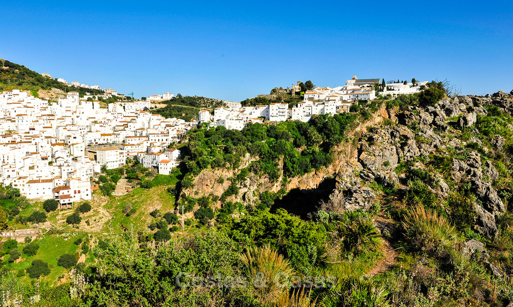 Newly renovated frontline beach apartments for sale, ready to move in, Casares, Costa del Sol 5307