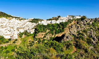 Newly renovated frontline beach apartments for sale, ready to move in, Casares, Costa del Sol 5307 