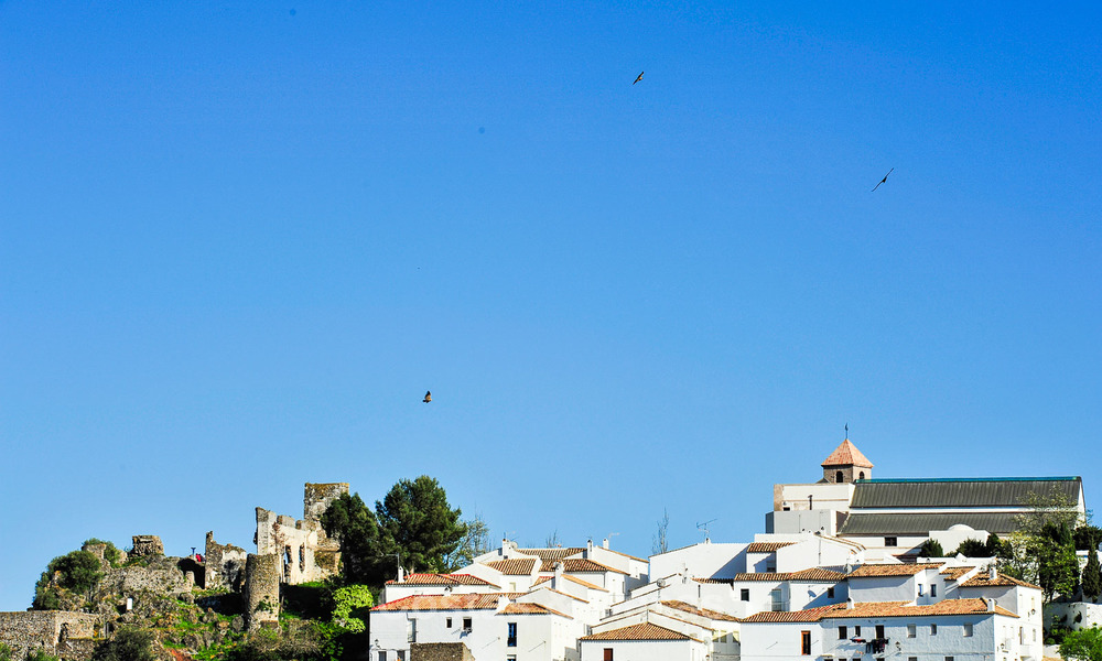 Newly renovated frontline beach apartments for sale, ready to move in, Casares, Costa del Sol 5310