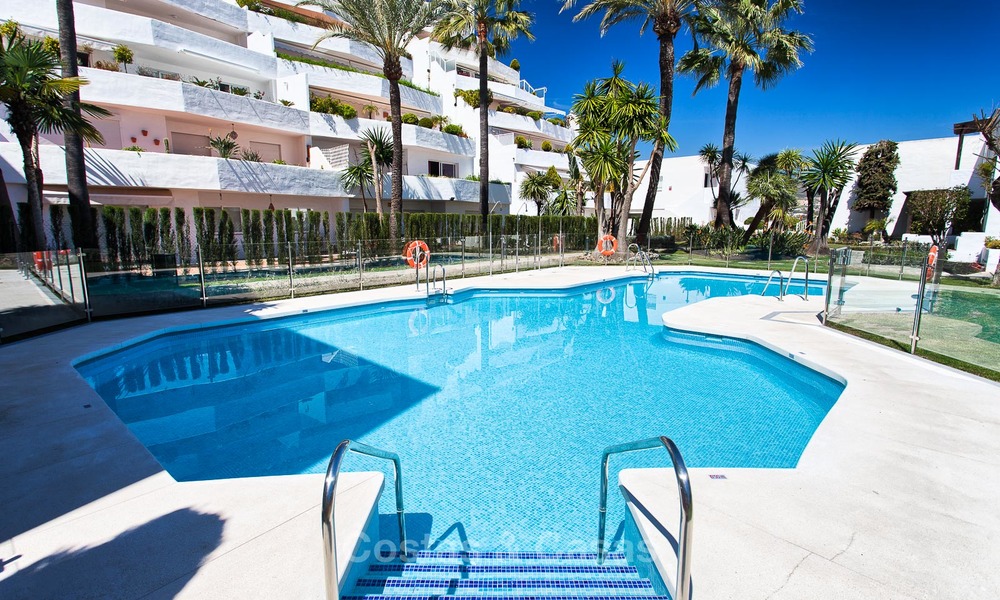 Cosy and bright apartment for sale, recently renovated, Nueva Andalucía, Marbella 6028