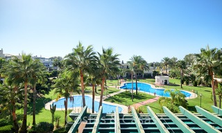 Desirable penthouse apartment, walking distance from beach and Puerto Banus, Nueva Andalucia - Marbella 6605 