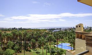 Rare, very spacious 5-bed penthouse apartmentwith sea and mountain views for sale on the Golden Mile in Marbella 16557 