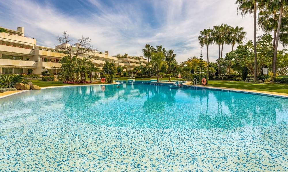 Renovated luxury apartment for sale, first line golf Las Brisas in Nueva Andalucia, Marbella 26565