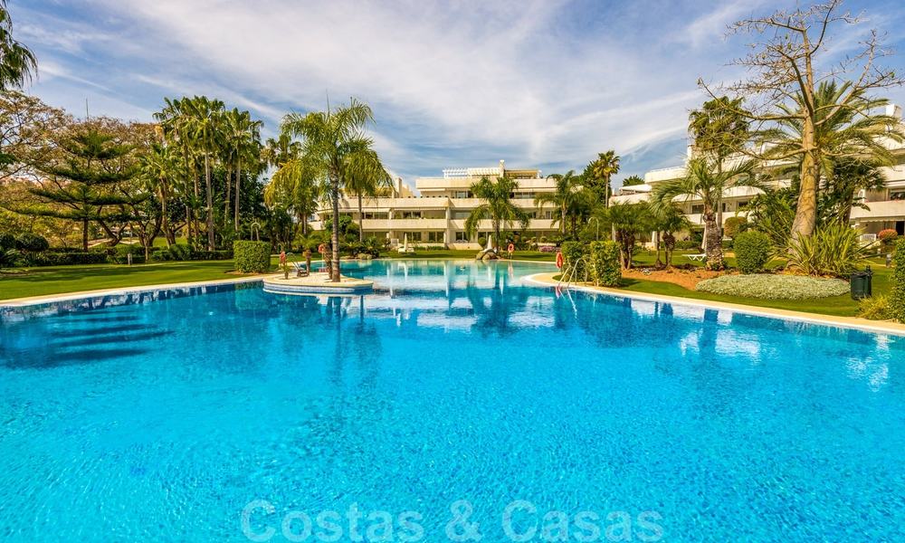 Renovated luxury apartment for sale, first line golf Las Brisas in Nueva Andalucia, Marbella 26566