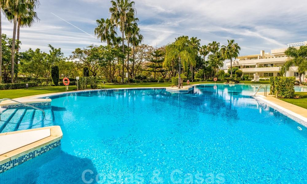 Renovated luxury apartment for sale, first line golf Las Brisas in Nueva Andalucia, Marbella 26567