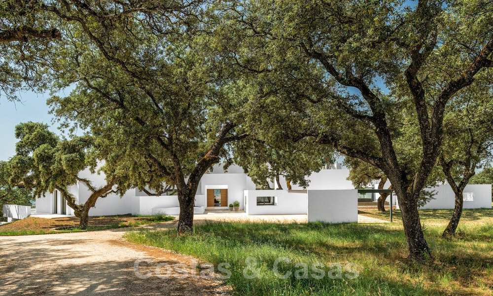 Vineyard – country estate with a modern style villa for sale near Ronda in Andalusia 29125