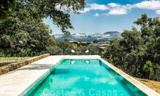 Vineyard – country estate with a modern style villa for sale near Ronda in Andalusia 29140 