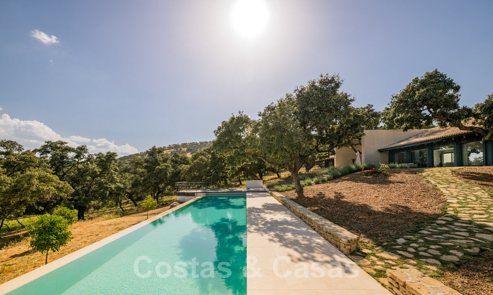 Vineyard – country estate with a modern style villa for sale near Ronda in Andalusia 29153