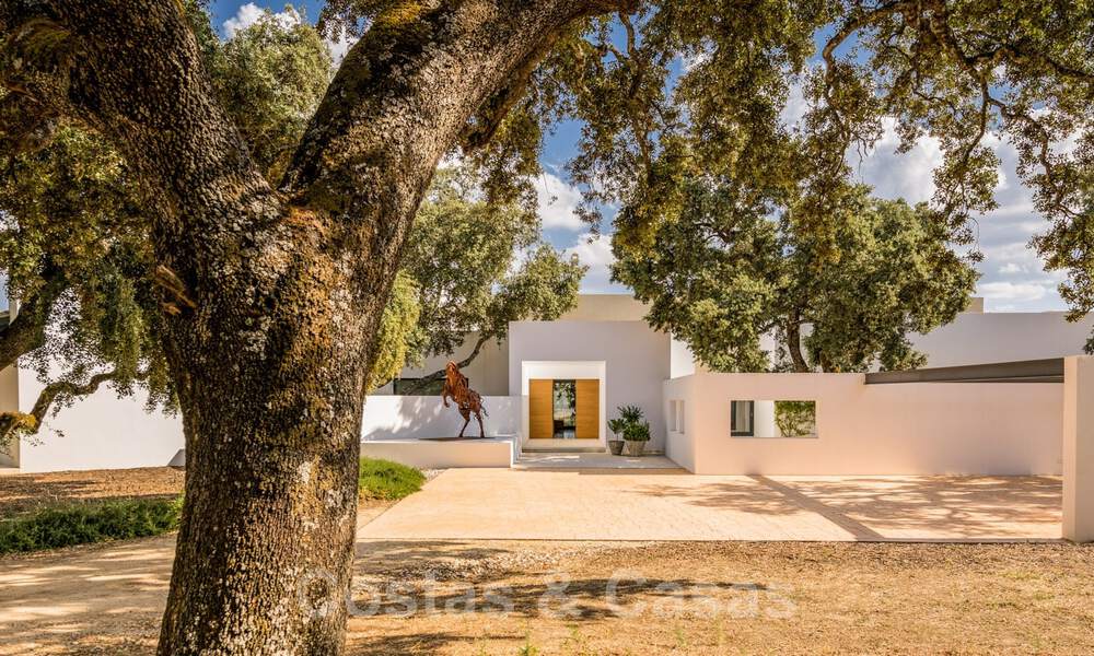 Vineyard – country estate with a modern style villa for sale near Ronda in Andalusia 29156